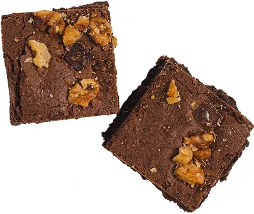 Fudge-Nut-Small-20231229-P1133487
